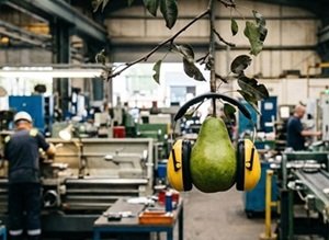 low hanging noise control fruit web